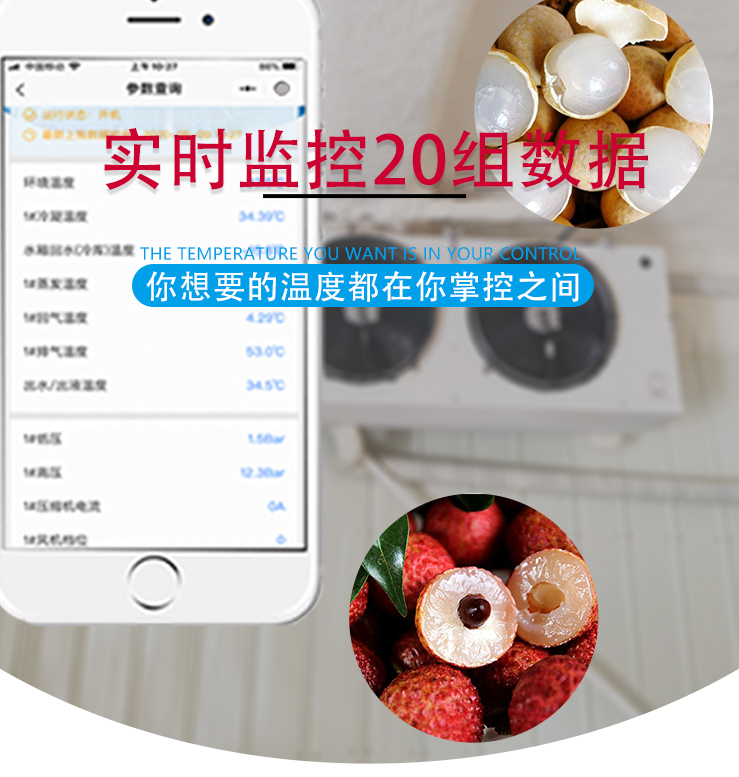 荔枝龙眼保鲜库